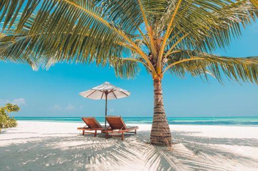 Gorgeous Beachy Chic Condo In Key Biscayne Miami Kültér fotó